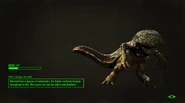 Gulper-LoadingScreen-FarHarbor.jpg (408 KB) A gulper as seen in the loading screen hints