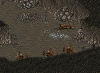 Stop the Radscorpions.jpg (293 KB) Last chance (Radscorpion cave).