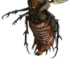 Bloatfly (Fallout: New Vegas)