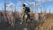FO4 Мерквотер5