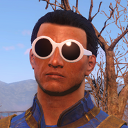 FO4 Fashionable glass view