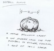 Puffball.jpg (73 КБ) Концепт-арт