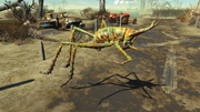 Cave cricket piercer.png
