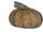 FO4Gourd.png