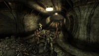 Plenty of feral ghouls inhabit the Taft Tunnels