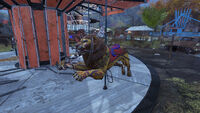 Pristine teddy bear riding a lion on the carousel.