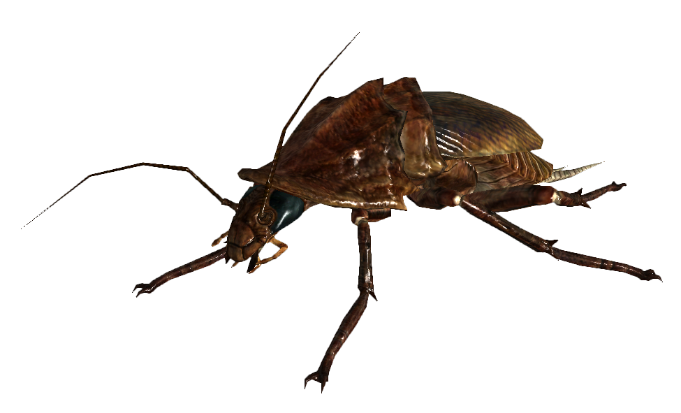 Радтаракан fallout 3. Fallout легендарный радтаракан. Радтаракан fallout арт. Радтаракан. Радтаракан fallout 4.