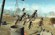 FO4NW Exterior 80.jpg