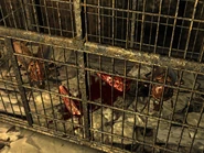 Cookie y Toby en la casucha de francotirador