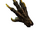 Deathclaw hand.png