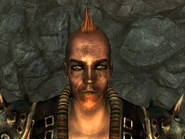 FO3TPPittRaider9.png (685 KB)