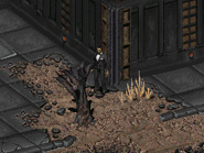 Rich Fred.png (22 KB) Rich Fred