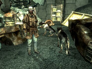 Scavenger dogs.jpg (336 kB) 2 perros de carroñero en su escondite de Pennsylvania Avenue