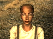 FO3RockCrickHunter3.png (908 KB)