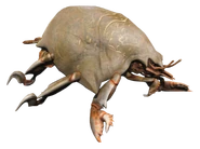 FO4 Mirelurk Spawn.png (415 KB)