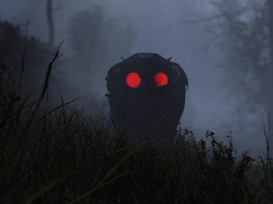Fallout 76 mothman sale pop