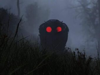 fallout 76 mothman pop