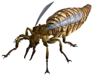 Riesenameisenkönigin