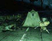 Survivor camp.png