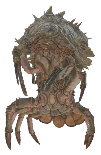 mirelurk-queen-fallout-76-fallout-wiki-fandom
