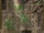FOT Special encounter markers5.jpg
