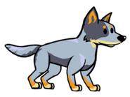 Cattle Dog