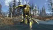 FO4FH Enraged fog crawler.png (2,1 МБ) Розлючений туманник