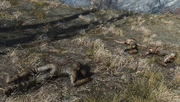 Fo4 Three dead raiders