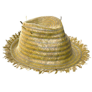 Sea captain's hat (Fallout 76), Fallout Wiki