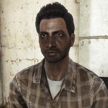 FO4FH Naveen