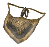 FO76 Worn veil.png