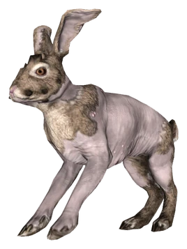 Fo4FH rad rabbit