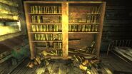 Nelsonhousebooks.jpg (534 kB) Biblioteca con libros estropeados