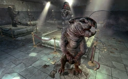Mole Rat Fallout Wiki Fandom