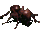 FO2 Giant ant animation.gif