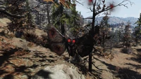 Red-eyed Mothman in combat