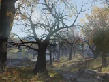 Патч 1.7.21.25 для Fallout 76 PTS