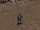 Max Stone (Fallout Demo)