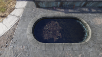 One tarberry in the pool at the Vault-Tec Agricultural Research Center