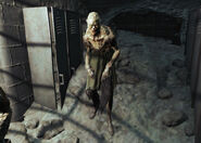 Steven Gibbons.jpg (690 KB) Steven Gibbons, a feral ghoul encountered at the Cranberry Island Bog