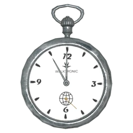 FO4 Silver watch