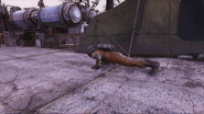 FO76 Hopeful that hazmat suit can withstand a nuke