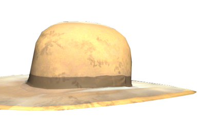 Tin foil hat, Fallout Wiki