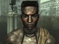 Possible male tribal