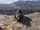 Pet Peeve (Wastelanders)