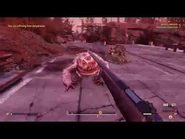 Hqdefault.jpg (14 kB)