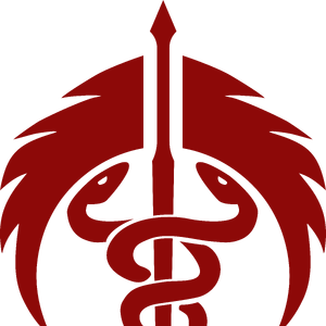 Brotherhood Of Steel Hierarchy Fallout Wiki Fandom