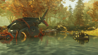 The Mire, a swampy region