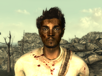FO3Wasteland doctor15