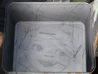 The drawing on the inside of the body